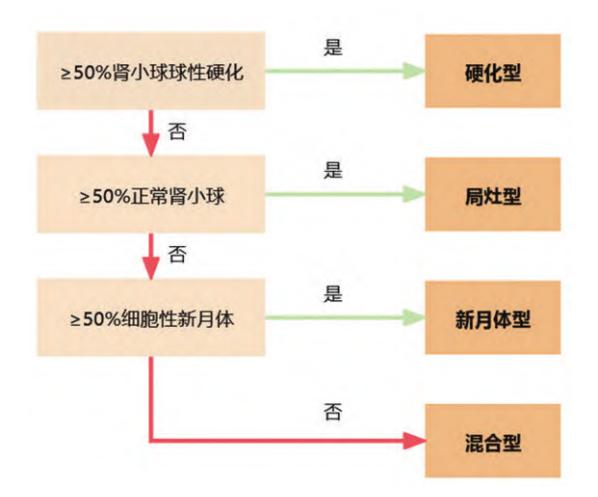 【2024年版KDIGO《ANCA相关性血管炎管理临床实践指南》更新重点内容解读】肾脏病理分型流程图