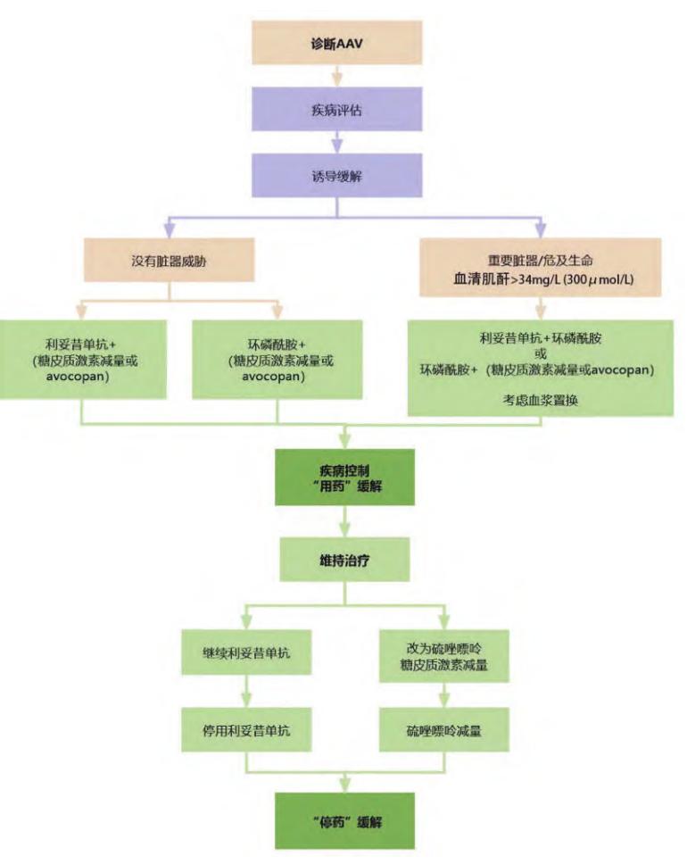 【2024年版KDIGO《ANCA相关性血管炎管理临床实践指南》更新重点内容解读】诊疗路径流程图