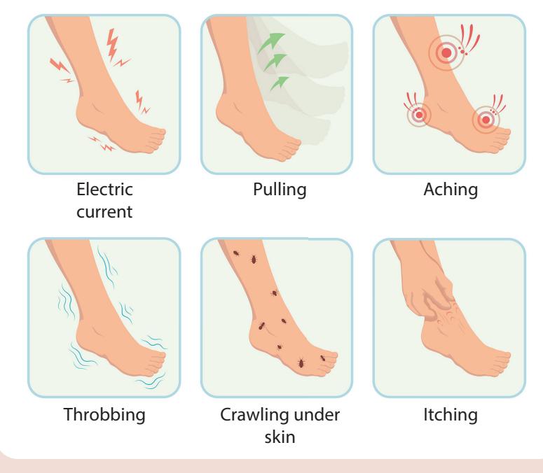 【Medical Education Illustration】RLS常见感觉症状示意图