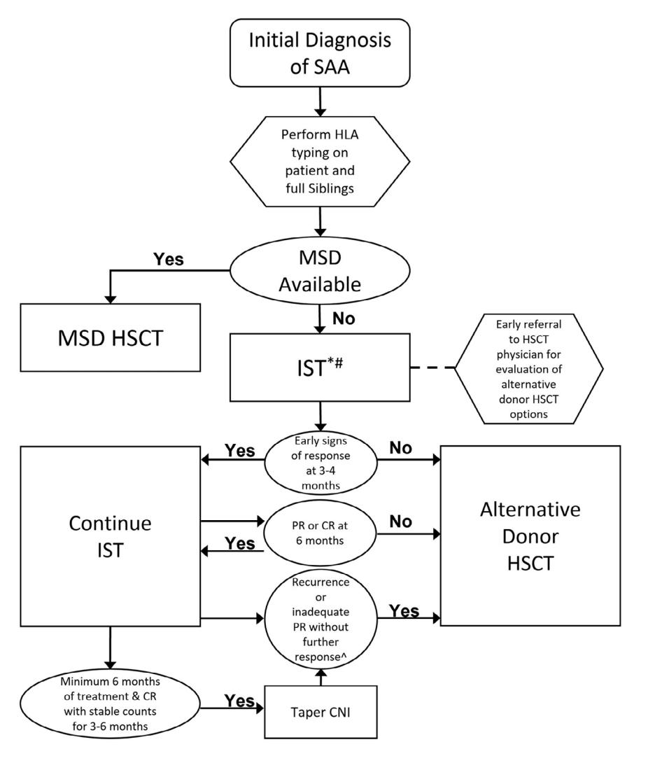 【NCCN Clinical Practice Guidelines: Non-Small Cell Lung Cancer】TNM Staging for Lung Cancer