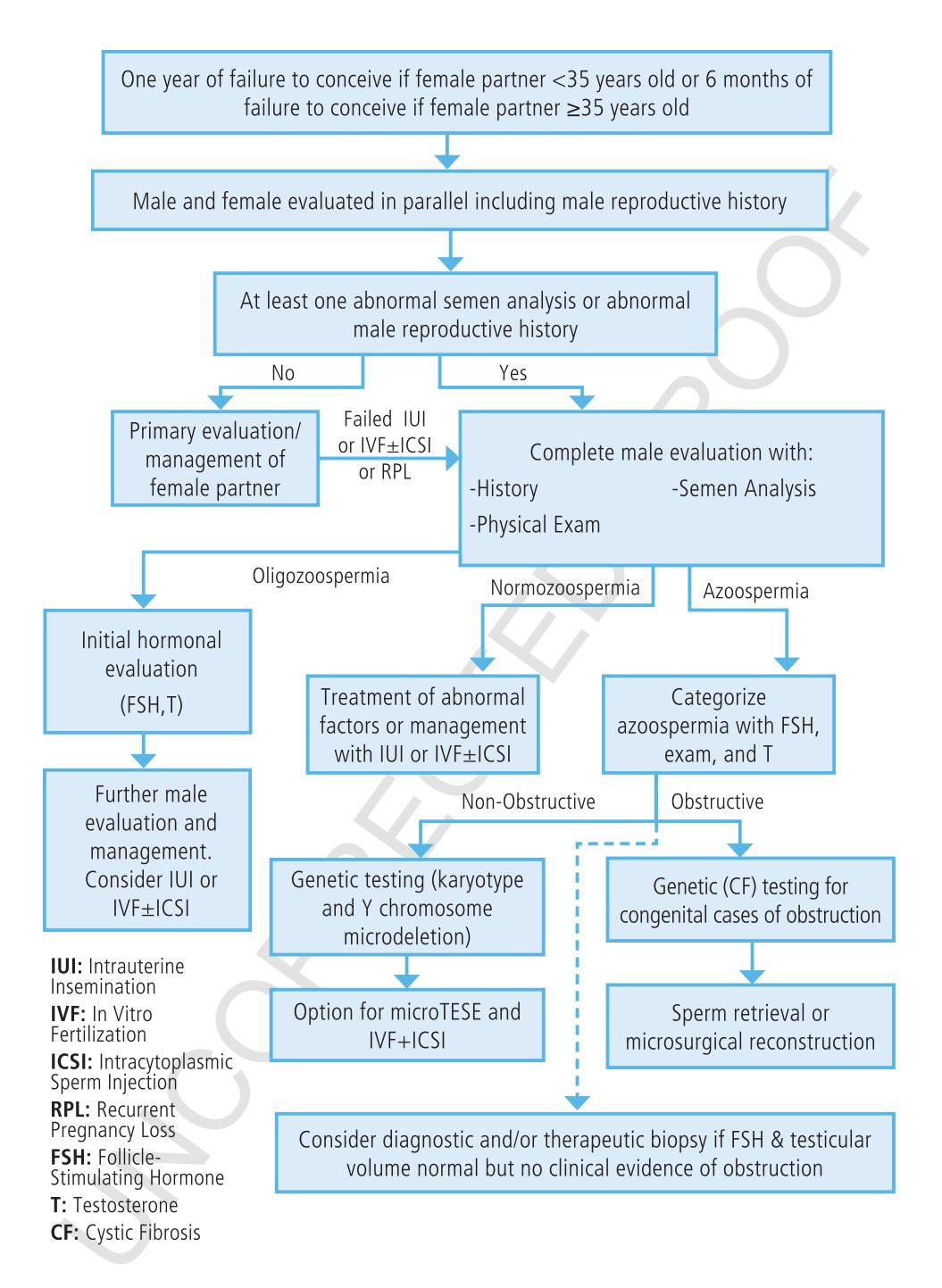 【Male infertility diagnostic algorithm】Male infertility diagnostic algorithm
