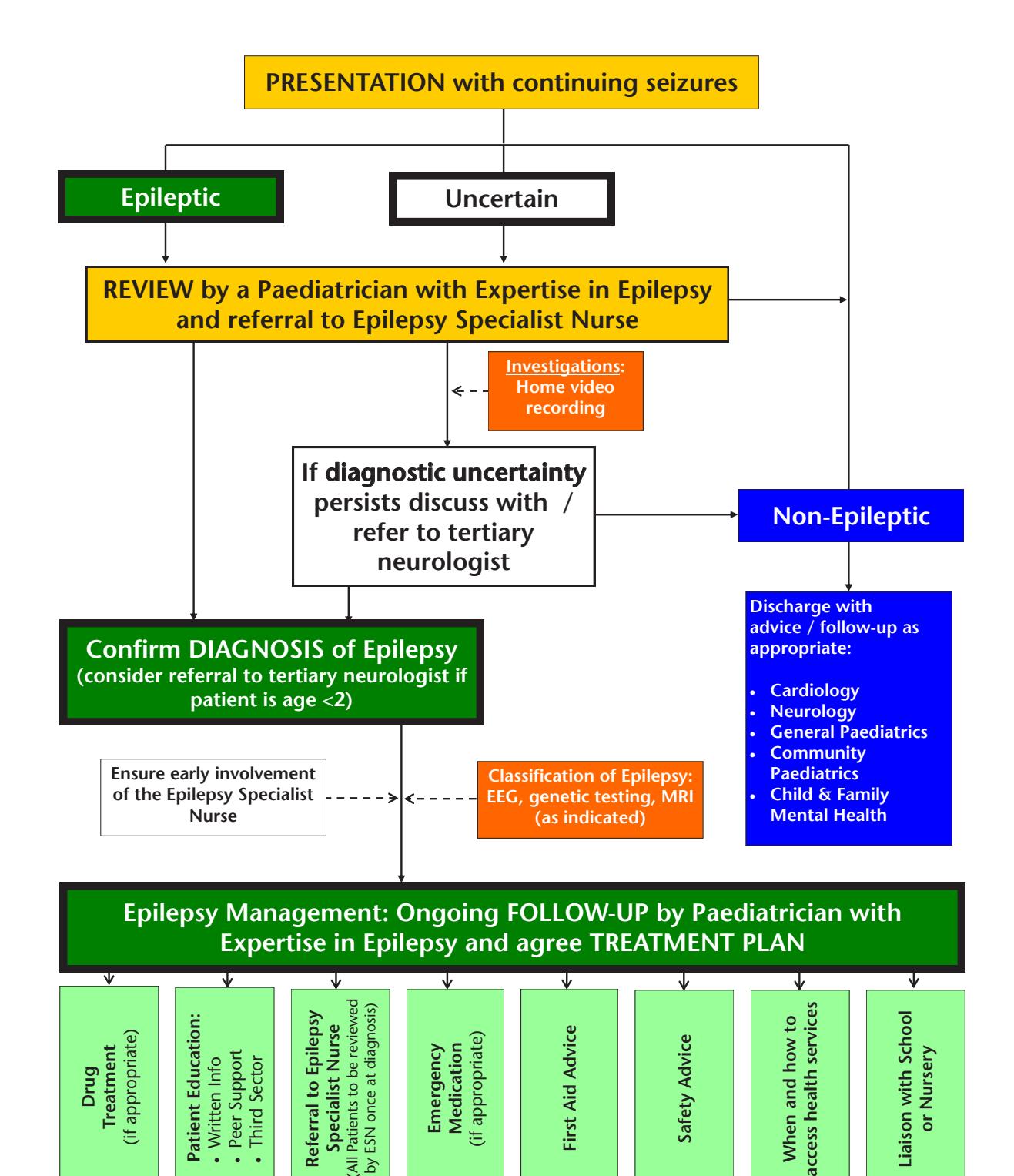 【FLOWCHART/Pediatric Epilepsy Management Pathway】