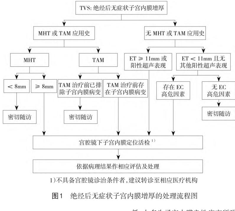 绝经后无症状子宫内膜增厚临床处理路径