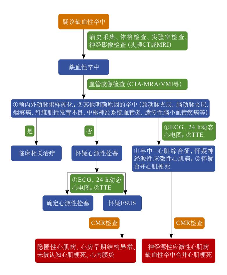 缺血性卒中病因诊断流程图