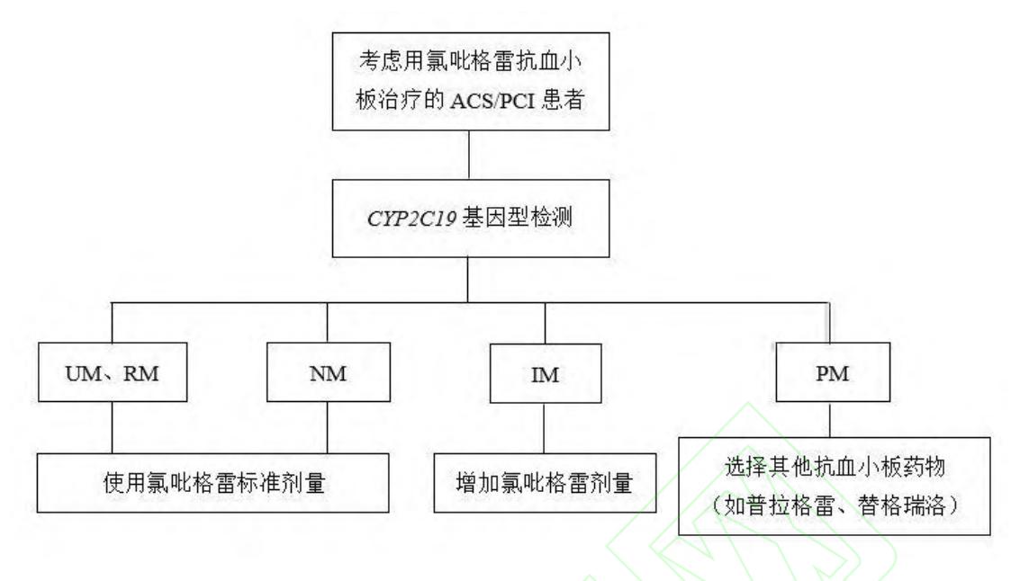 【共识】基于CYP2C19基因型的氯吡格雷抗血小板治疗个体化用药方案流程图