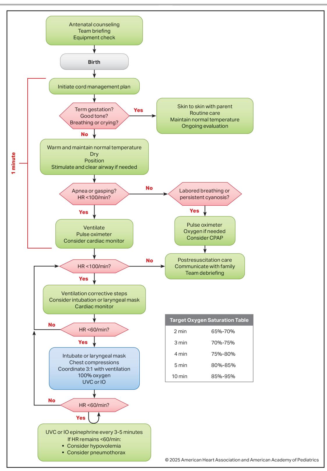 【Part 5: Neonatal Resuscitation: 2025 American Heart Association and American Academy of Pediatrics Guidelines for Cardiopulmonary Resuscitation and Emergency Cardiovascular Care】Neonatal Resuscitation Algorithm