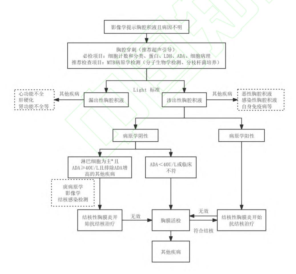 【综合医疗机构肺结核早期发现临床实践指南】临床诊疗路径图