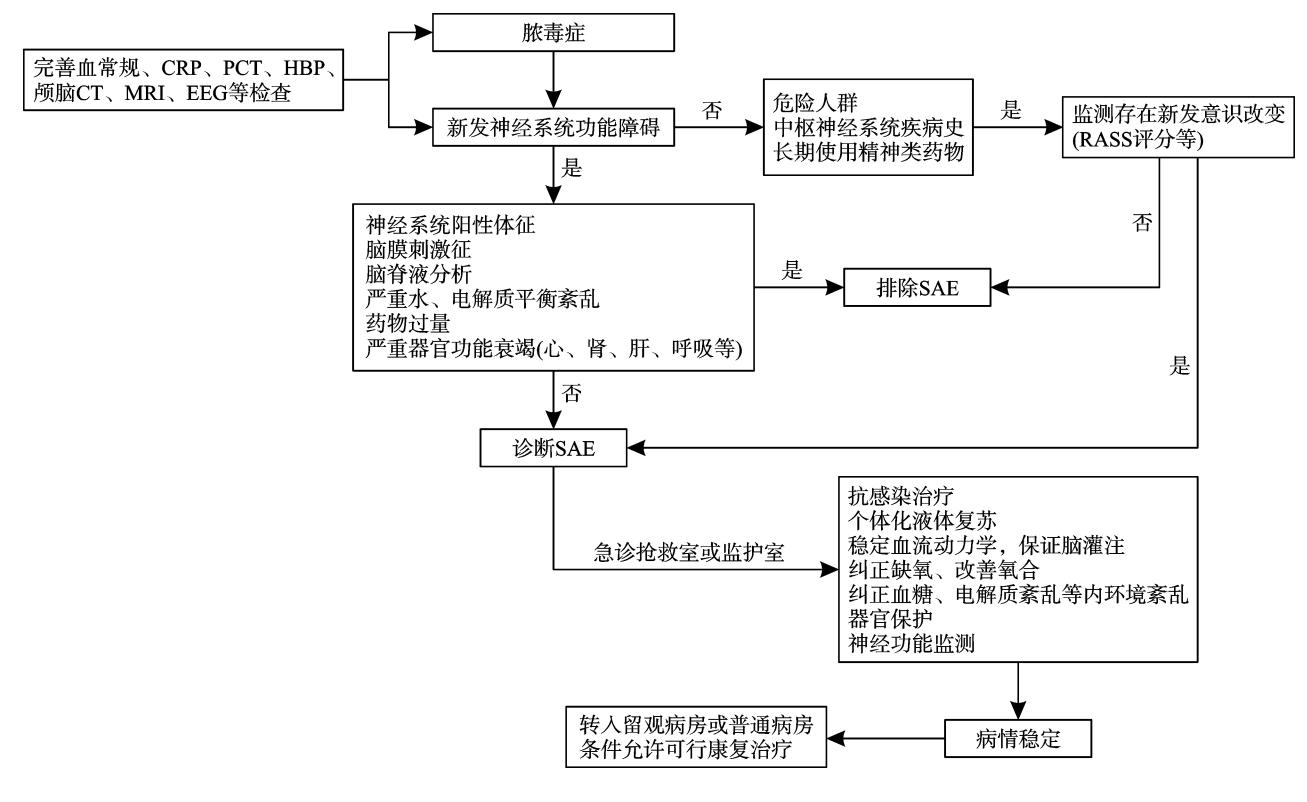 image_category: FLOWCHART/脓毒症相关脑病(SAE)诊治流程图 | body_region: 头 | specialty: 重症医学科/急诊科 | summary: 该流程图规范了脓毒症相关脑病(SAE)从初步筛查、鉴别诊断到临床干预及转归的标准化临床路径。