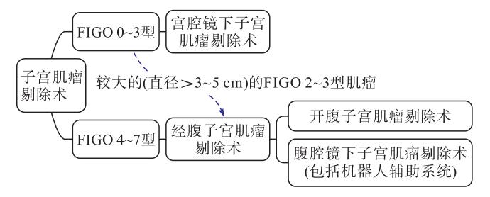 【2024年《欧洲妇科内镜学会关于子宫肌瘤剔除术实践共识》解读】临床诊疗路径图