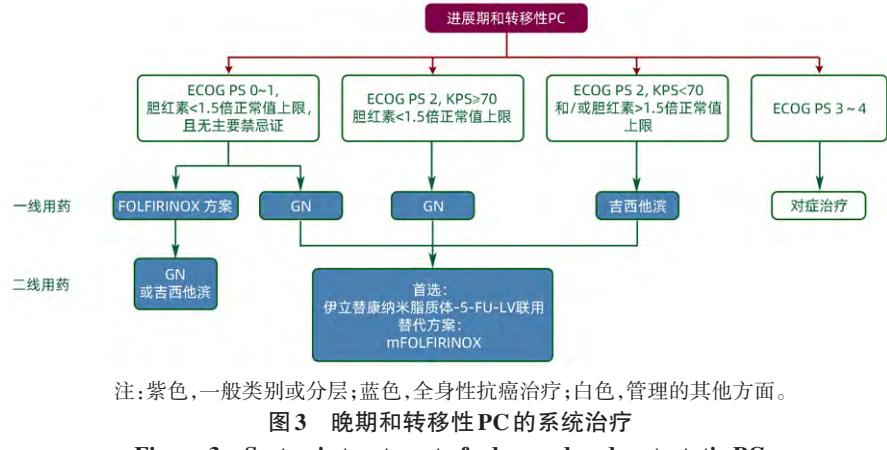 进展期和转移性胰腺癌治疗路径