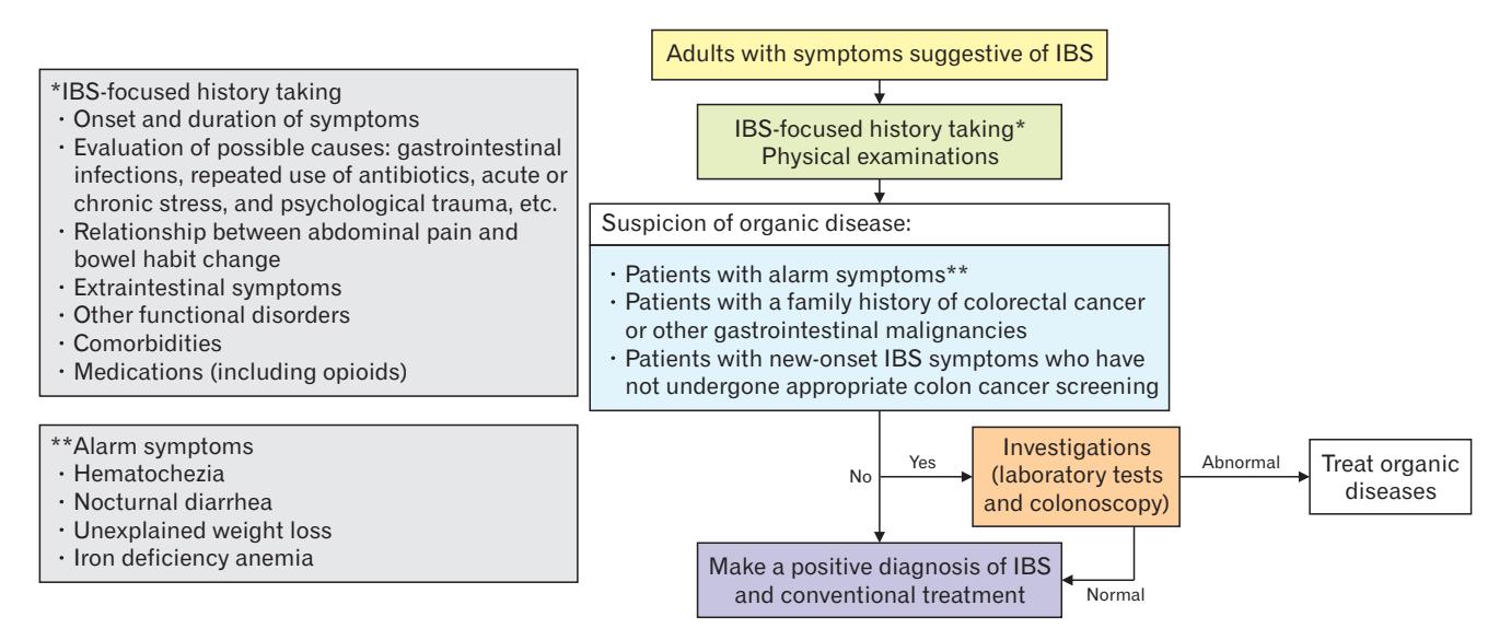 【2025 Seoul Consensus on Clinical Practice Guidelines for Irritable Bowel Syndrome】IBS Diagnostic Algorithm