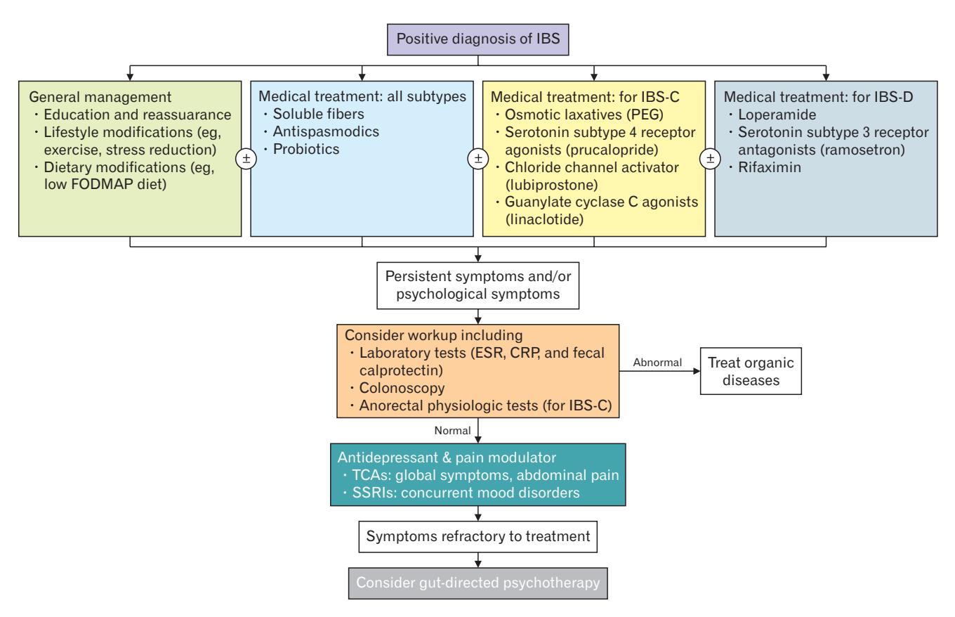【2025 Seoul Consensus on Clinical Practice Guidelines for Irritable Bowel Syndrome】IBS Clinical Management Algorithm