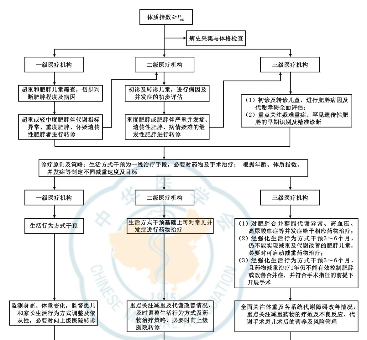 【儿童肥胖门诊建设专家共识(2025)】超重和肥胖儿童诊疗路径