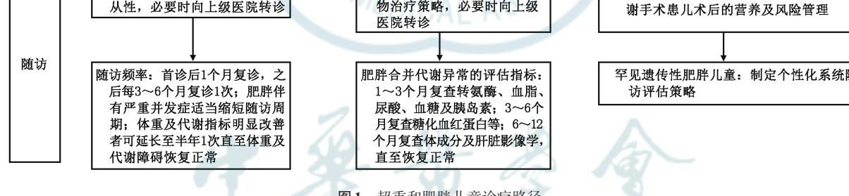 【儿童肥胖门诊建设专家共识(2025)】超重和肥胖儿童随访管理路径