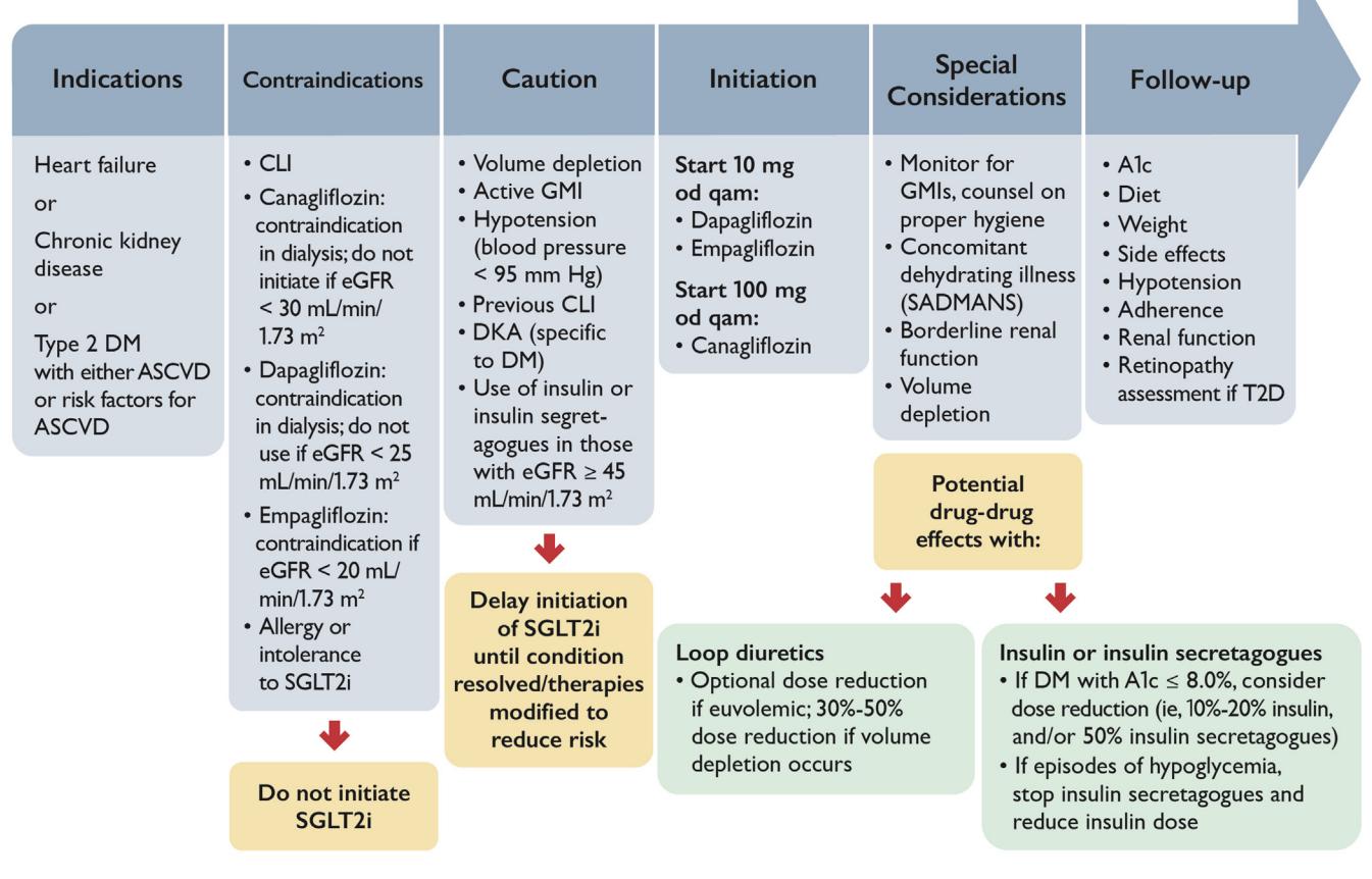 【image_category: FLOWCHART/Clinical Management Guideline】SGLT2i Initiation and Management Workflow