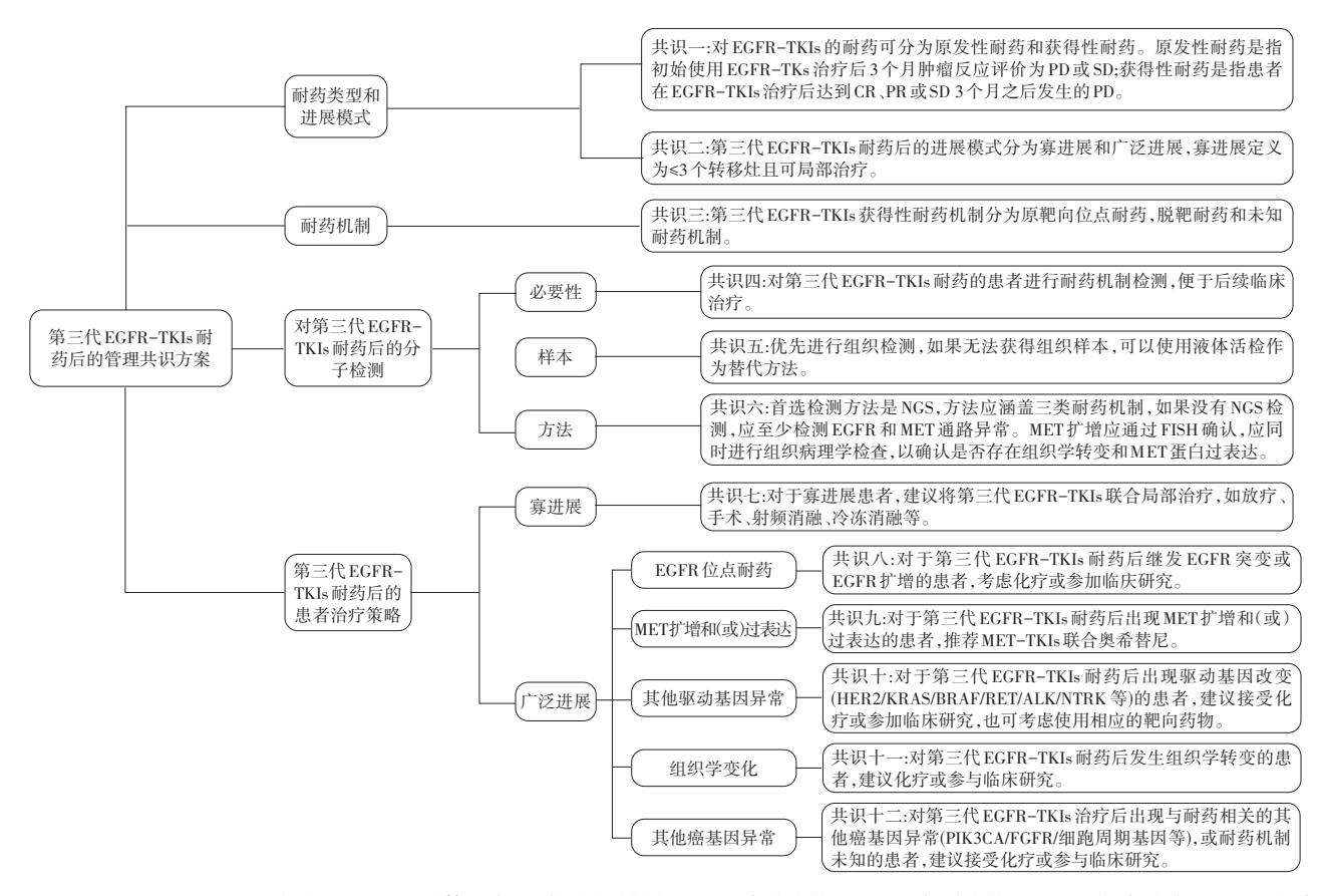 【诊疗共识流程图】第三代EGFR-TKIs耐药后的管理共识方案