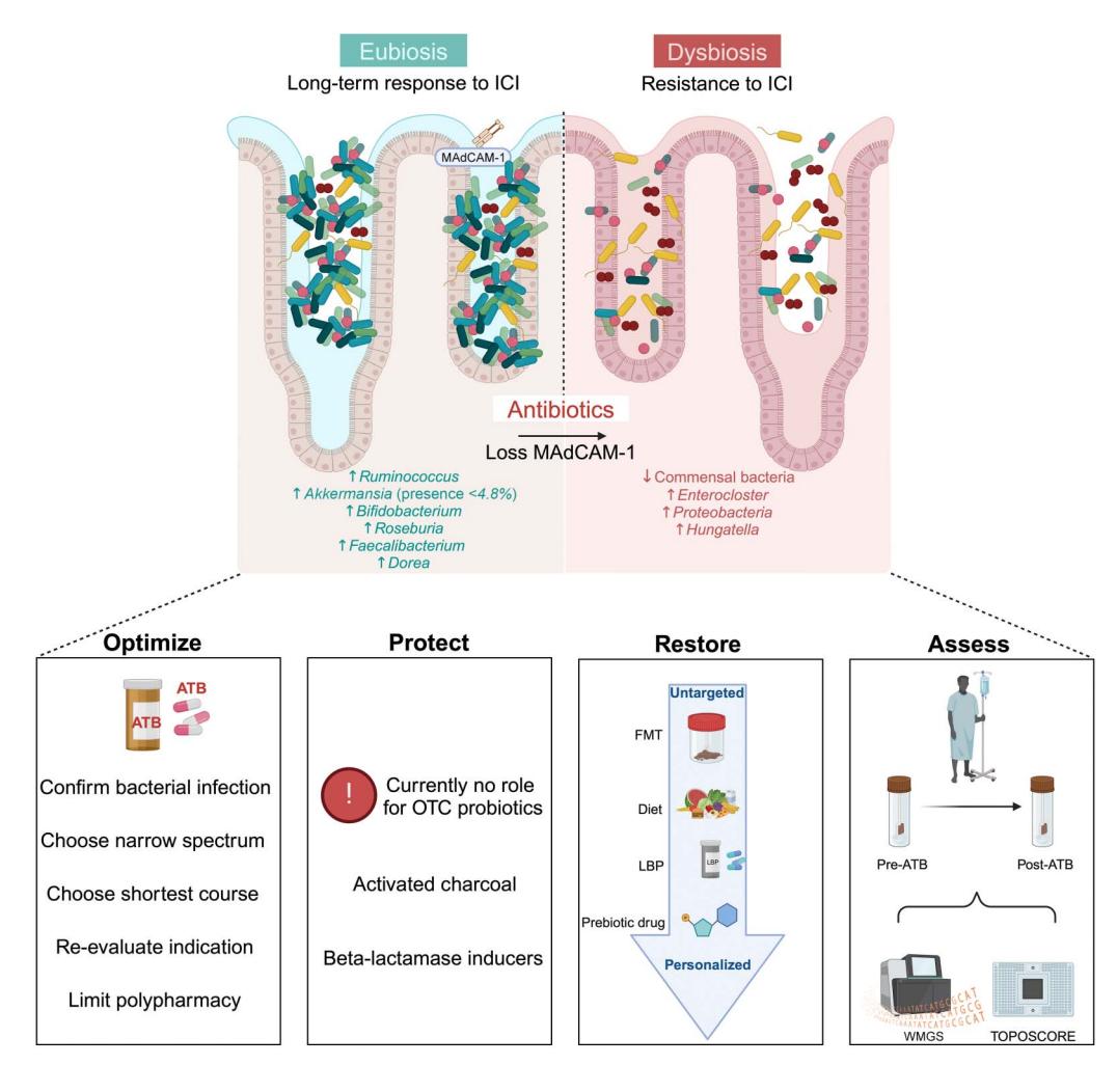 【Gut Microbiota in Immuno-Oncology】Gut Microbiome and ICI Response Management Algorithm