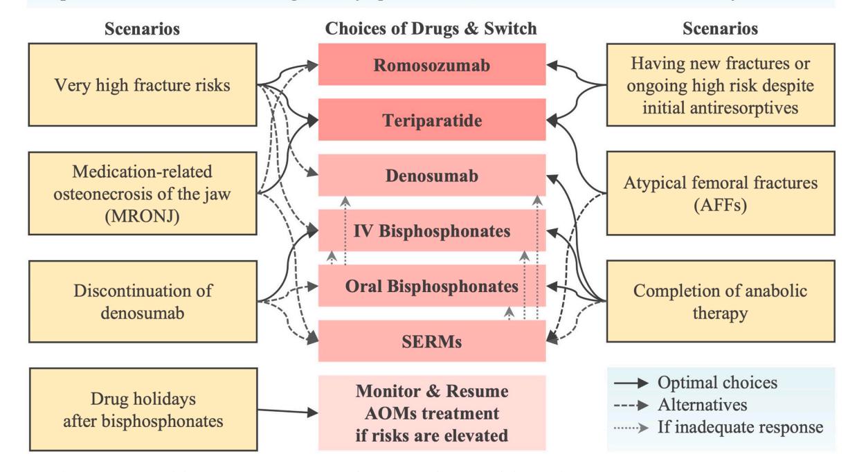 【Osteoporosis Treatment Algorithm】Drug Selection and Switching Strategies for Osteoporosis