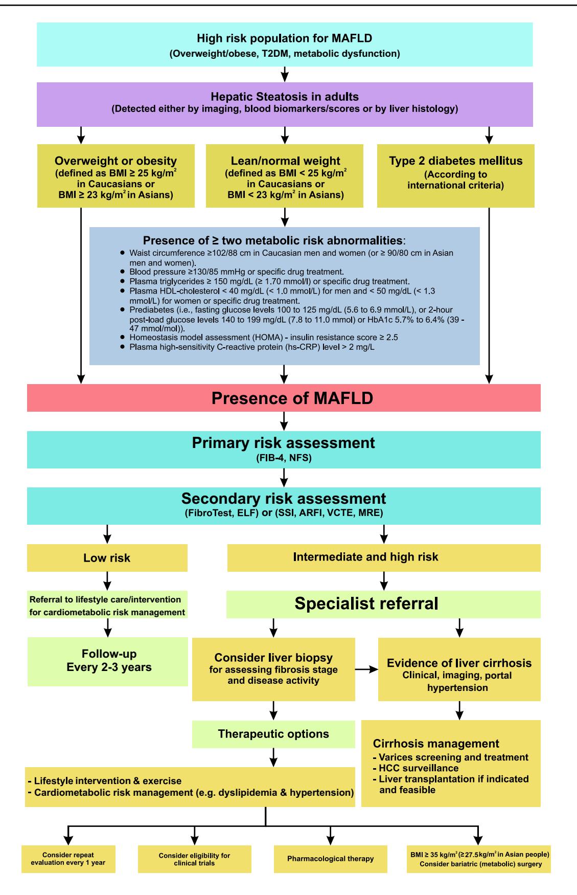 【MAFLD Diagnostic and Management Algorithm】MAFLD诊断与管理流程图