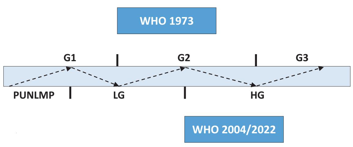 【WHO 1973与WHO 2004/2022尿路上皮肿瘤分级系统对比示意图】