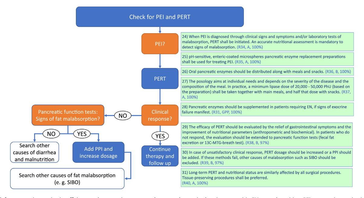 【ESPEN practical guideline on clinical nutrition in acute and chronic pancreatitis】Clinical Management Algorithm