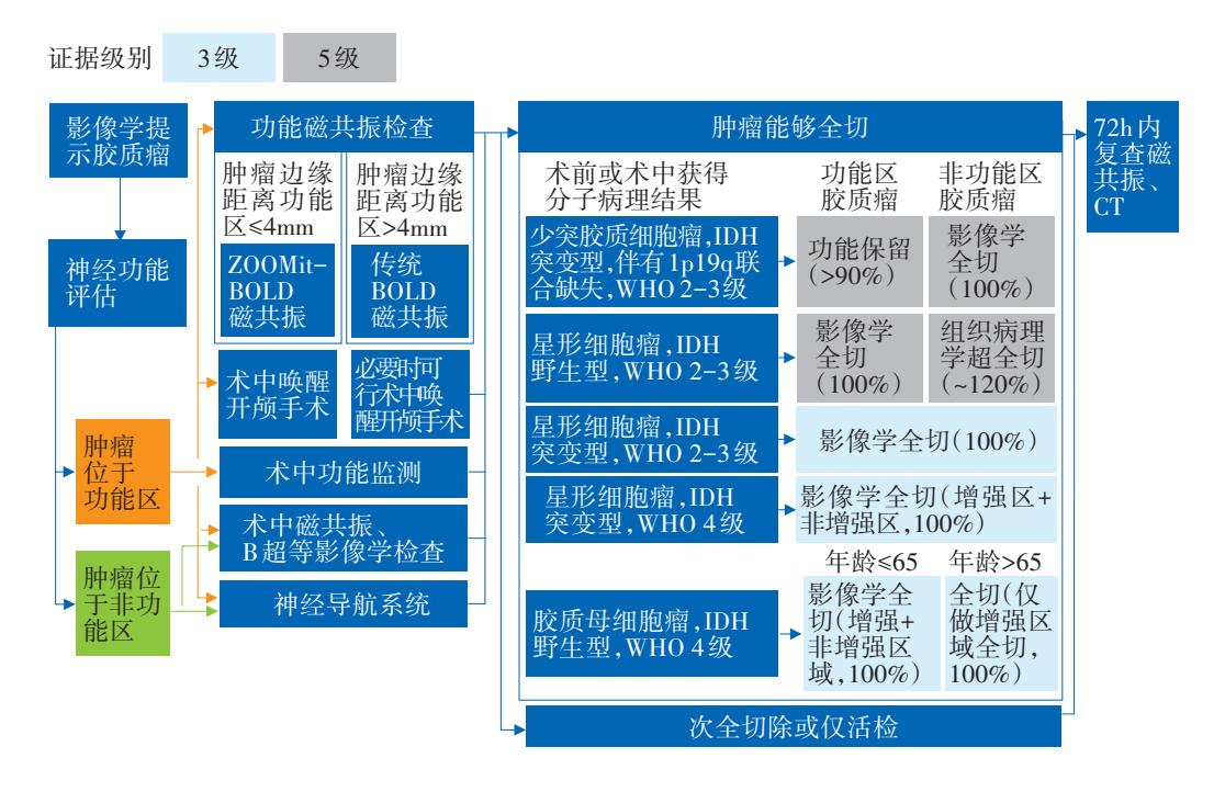 【胶质瘤手术治疗临床路径流程图】Surgical Strategy