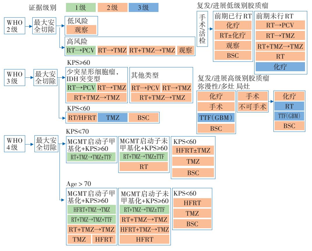 【胶质瘤临床诊疗路径图】Treatment Algorithm