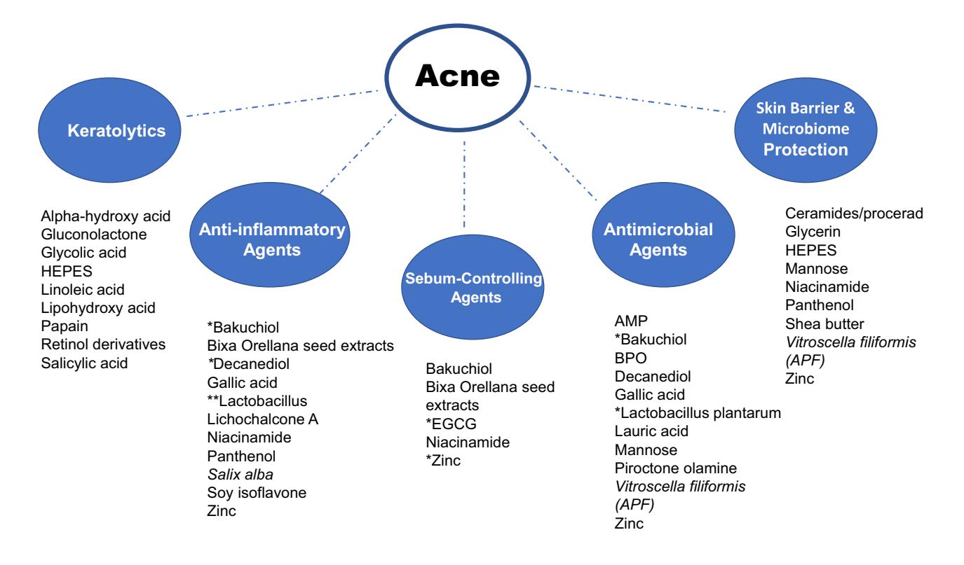 【International expert consensus recommendations for the use of dermocosmetics in acne】Treatment Algorithm