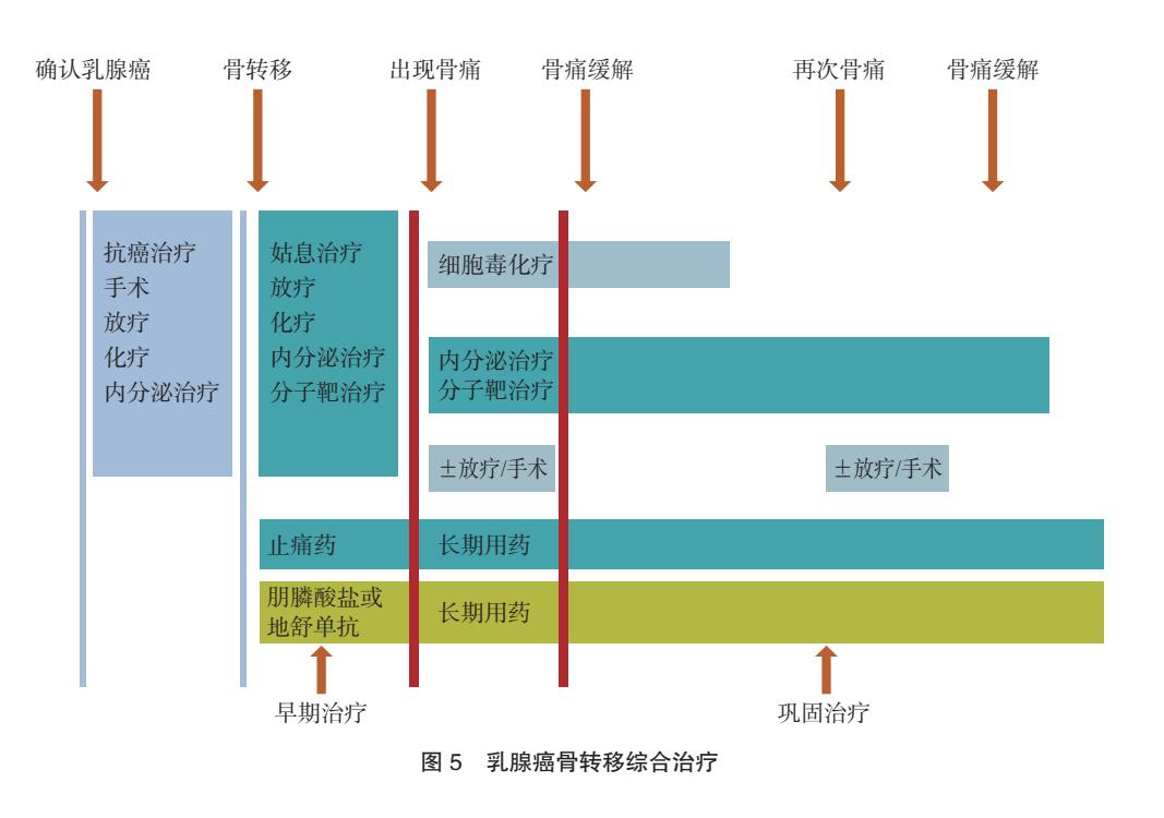 【中国抗癌协会乳腺癌诊治指南与规范(2024年版)】治疗流程图