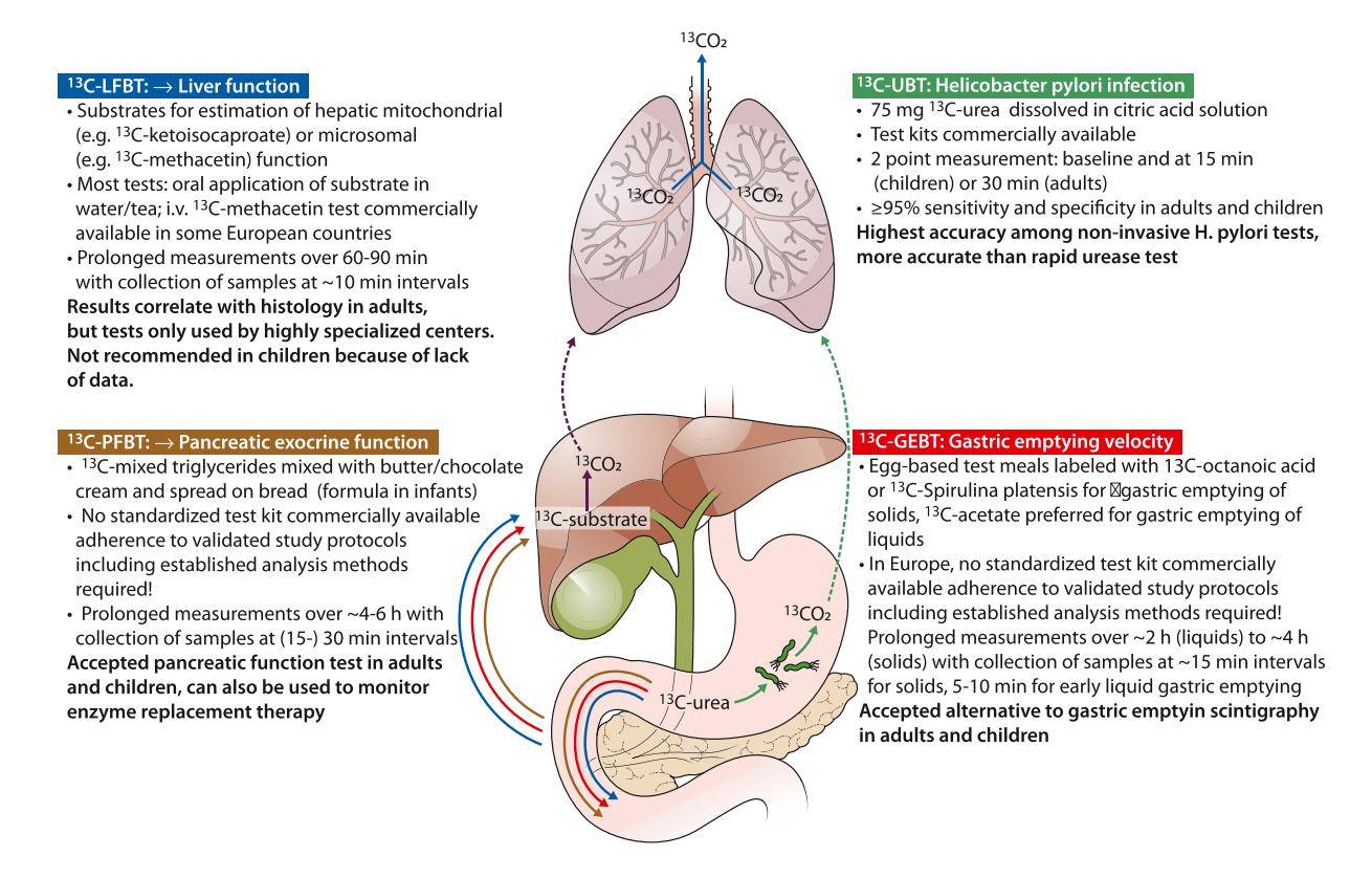 Diagnostic procedure flowchart
