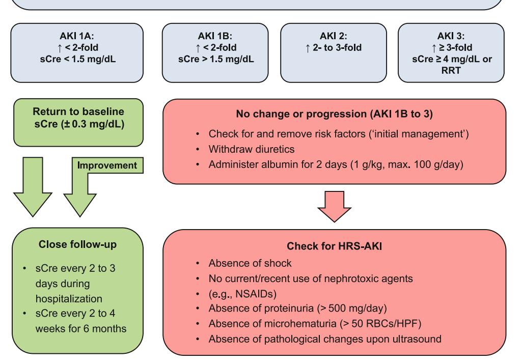 【AKI分期与HRS-AKI诊断流程图】AKI Staging and HRS-AKI Diagnostic Pathway