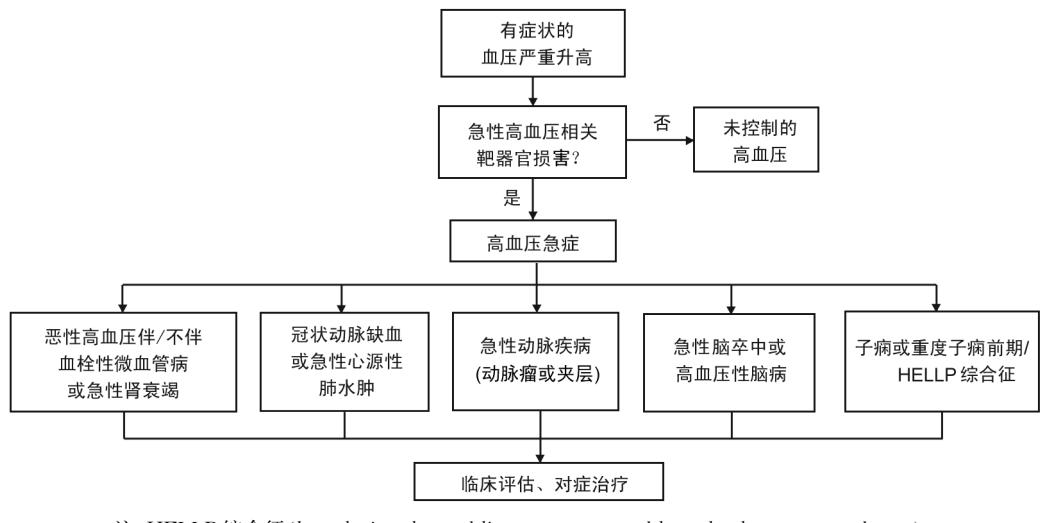 【高血压急症的问题中国专家共识】高血压急症诊疗流程图