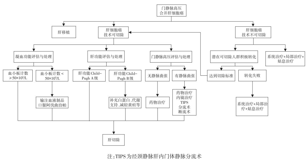 【门静脉高压合并肝细胞癌临床诊断与治疗中国专家共识(2022版)】门静脉高压合并HCC临床评估与治疗路径