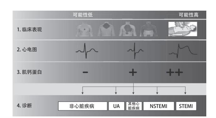 【冠心病合理用药指南(第2版)】胸痛鉴别诊断流程图