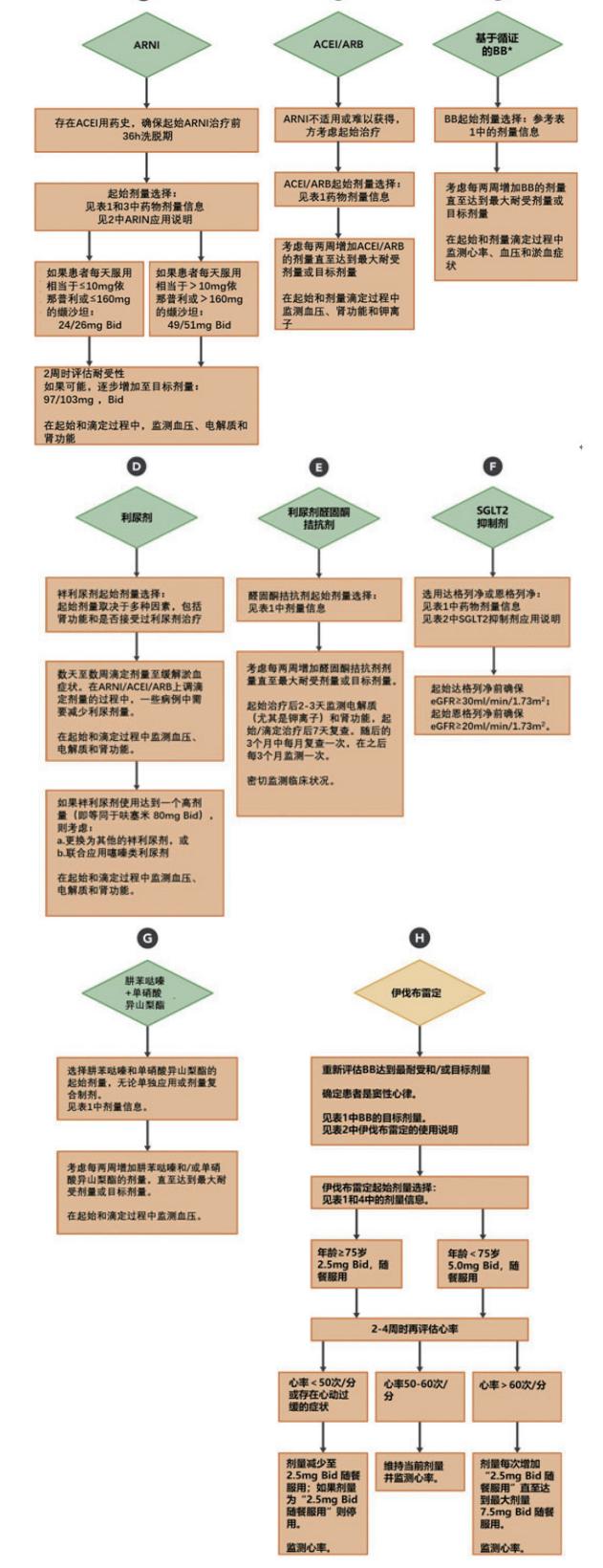 【心力衰竭药物治疗临床路径图】心力衰竭药物治疗临床路径图