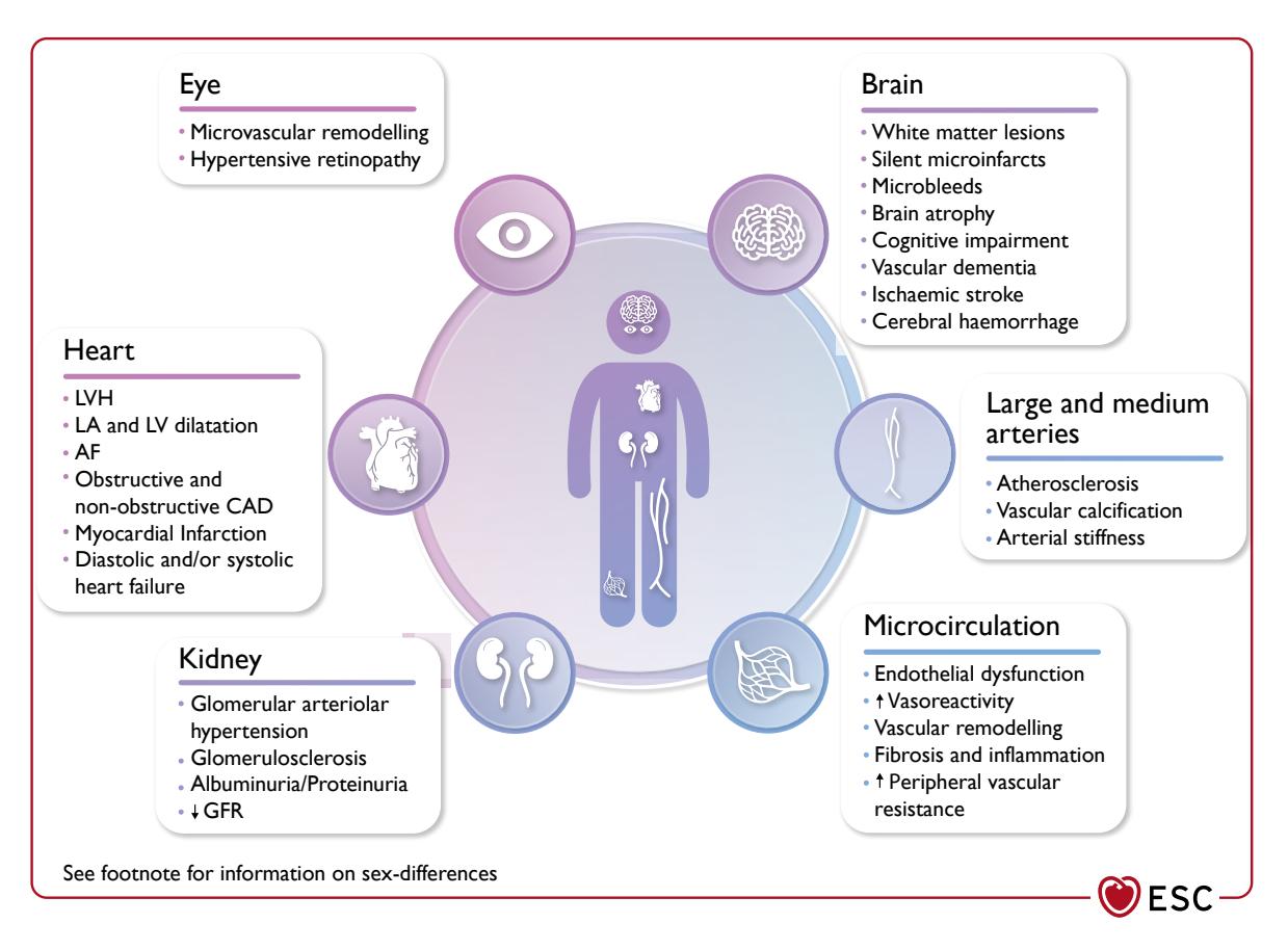 image_category: DIAGRAM/Medical Infographic | body...