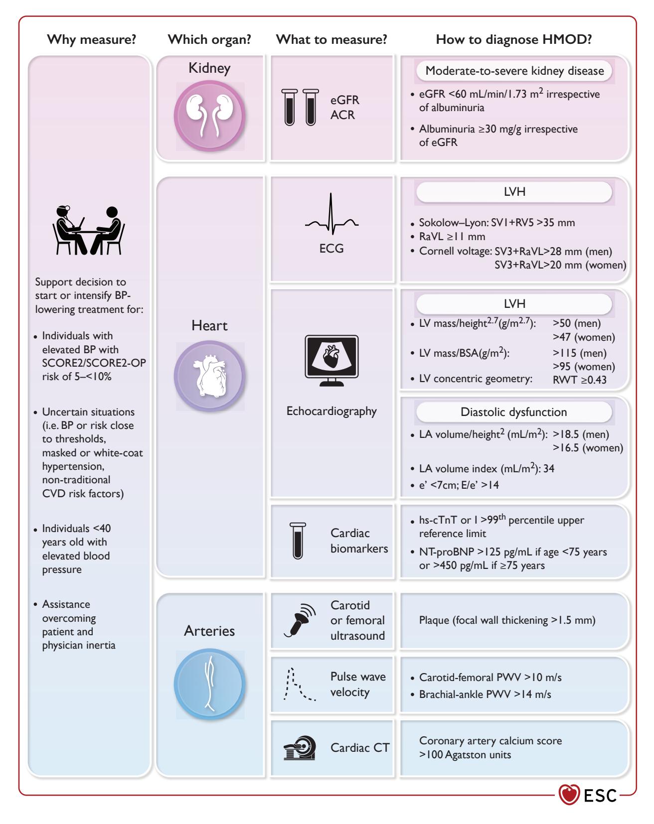 image_category: FLOWCHART/Clinical Guideline Infog...