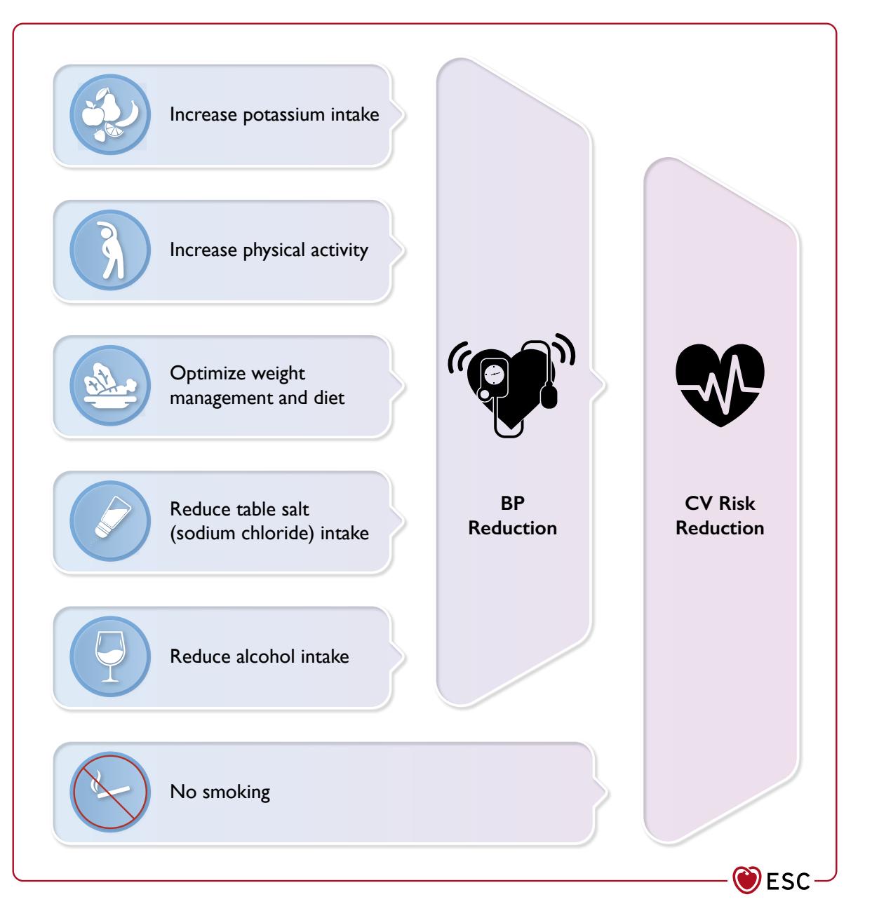 【ESC Guidelines】Lifestyle Interventions for Hypertension and Cardiovascular Risk Reduction