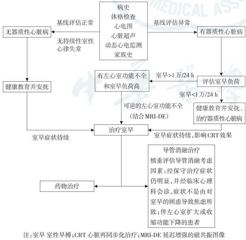【早搏基层诊疗指南(2019年)】室性早搏临床管理流程图