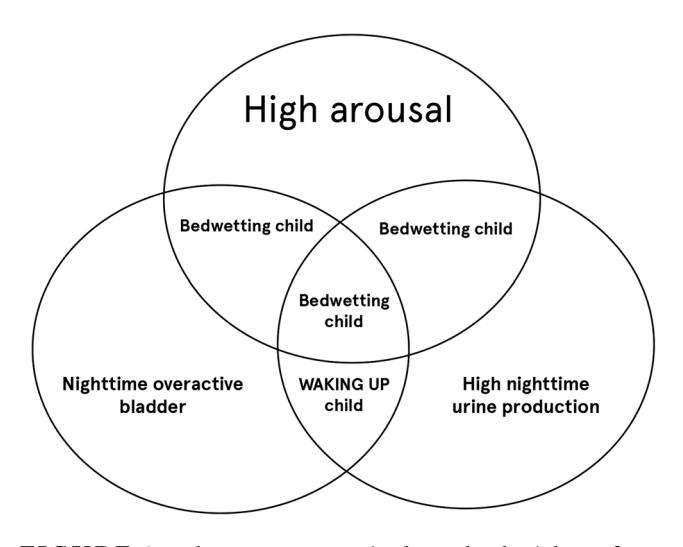 【EAU-ESPU 指南委员会对单症状遗尿症的实用建议——尿床】Elementary causes in the pathophysiology of nocturnal enuresis