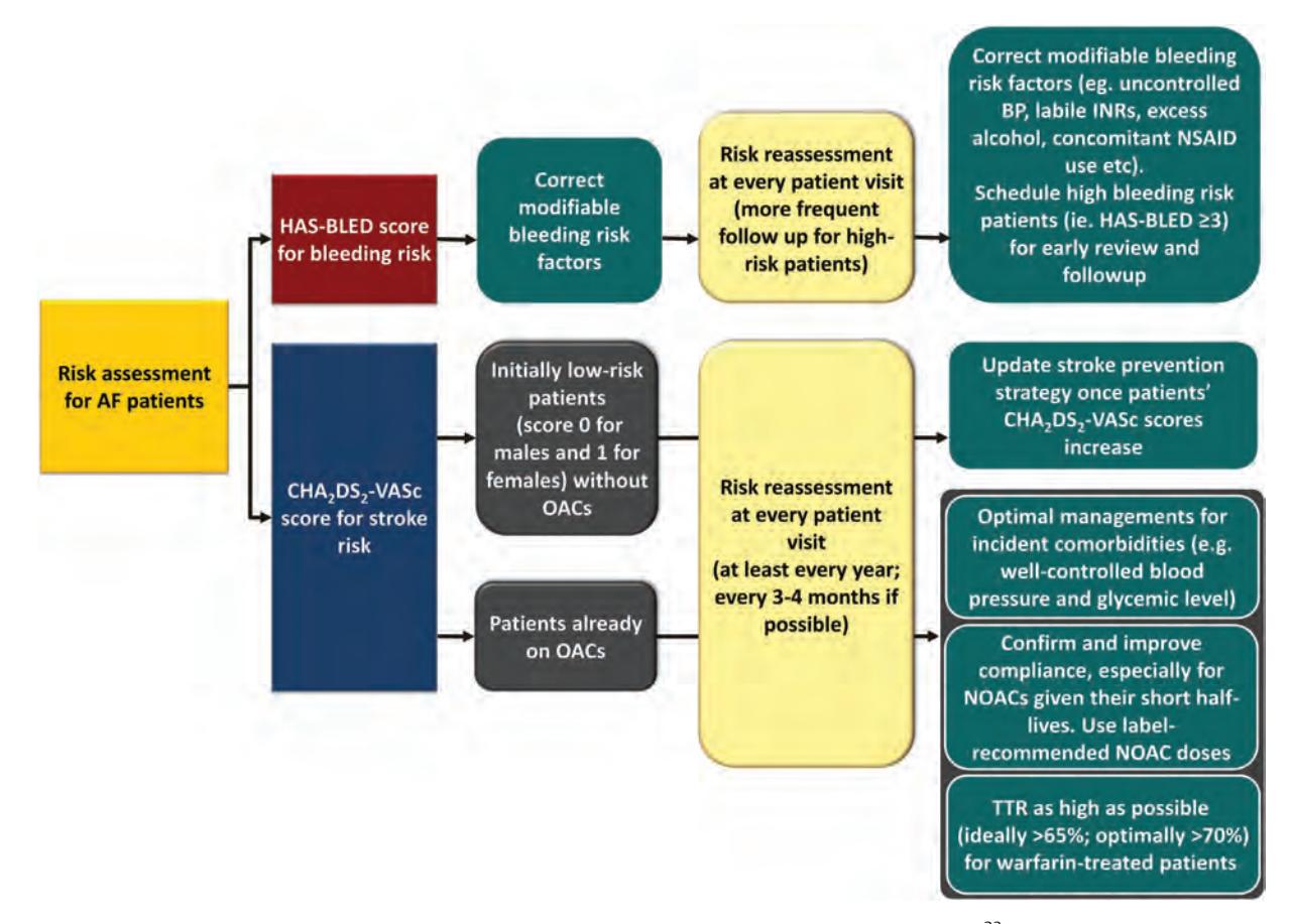 【2024 AHA/ASA Guideline】Atrial Fibrillation Risk Management Algorithm