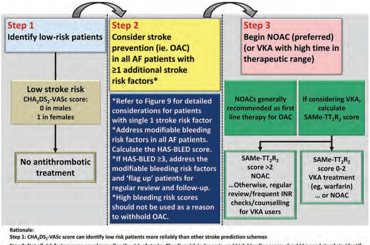 【APHRS Consensus】Three-Step Clinical Algorithm for Stroke Prevention in AF