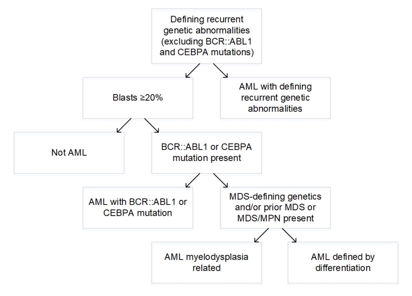 【Acute Myeloid Leukemia 】Diagnostic algorithm for Acute Myeloid Leukemia