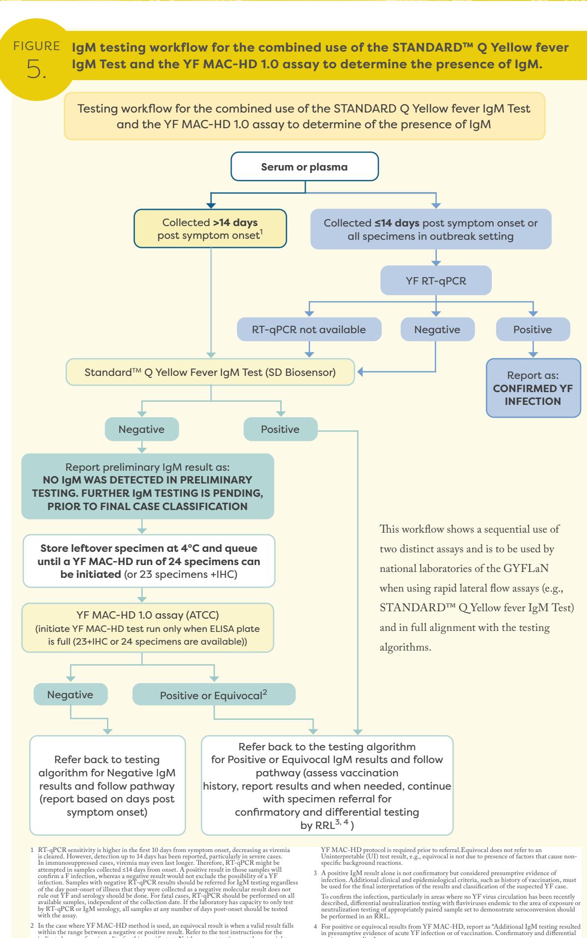 【Operational guidance on the use of yellow fever assays in the context of surveillance】Diagnostic algorithm