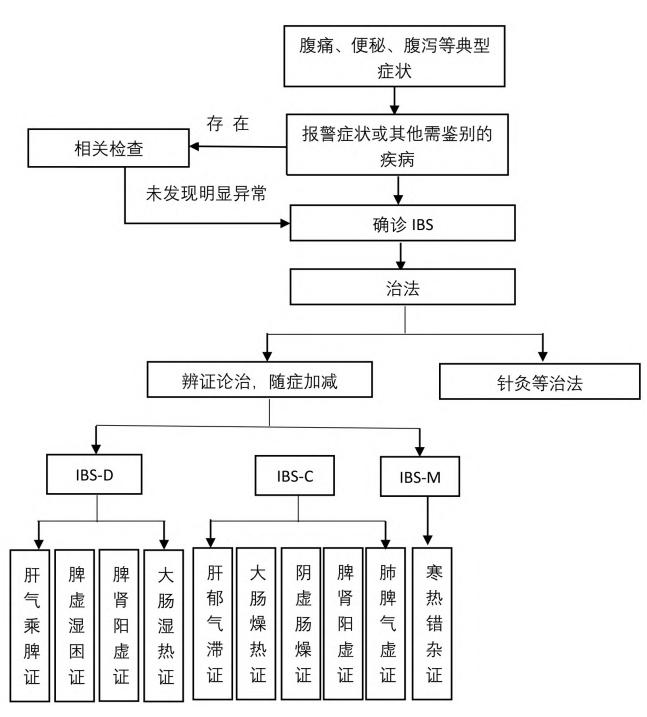 【肠易激综合征中医诊疗专家共识(2024)】肠易激综合征(IBS)中医诊疗流程图