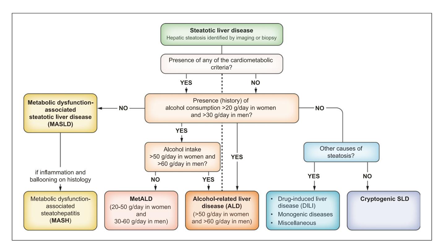 【EASL-EASD-EASO Clinical Practice Guidelines on the Management of Metabolic Dysfunction-Associated Steatotic Liver Disease (MASLD)】Diagnostic Algorithm