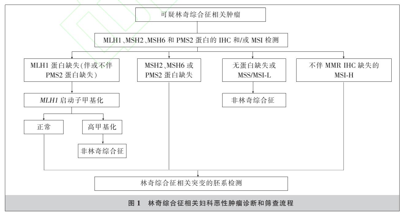 林奇综合征相关妇科恶性肿瘤诊断和筛查流程