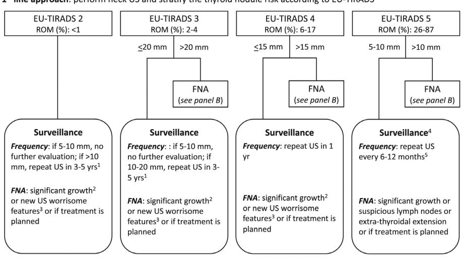【EU-TIRADS甲状腺结节管理流程图】