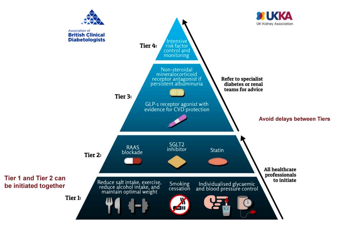 【ABCD/UKKA Clinical Practice Guidelines: Management of Diabetic Kidney Disease】Diabetic Kidney Disease Management Pyramid