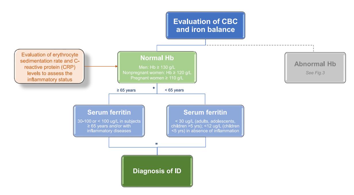 【Diagnostic Algorithm for Iron Deficiency with Normal Hb】正常血红蛋白水平下铁缺乏诊断流程图